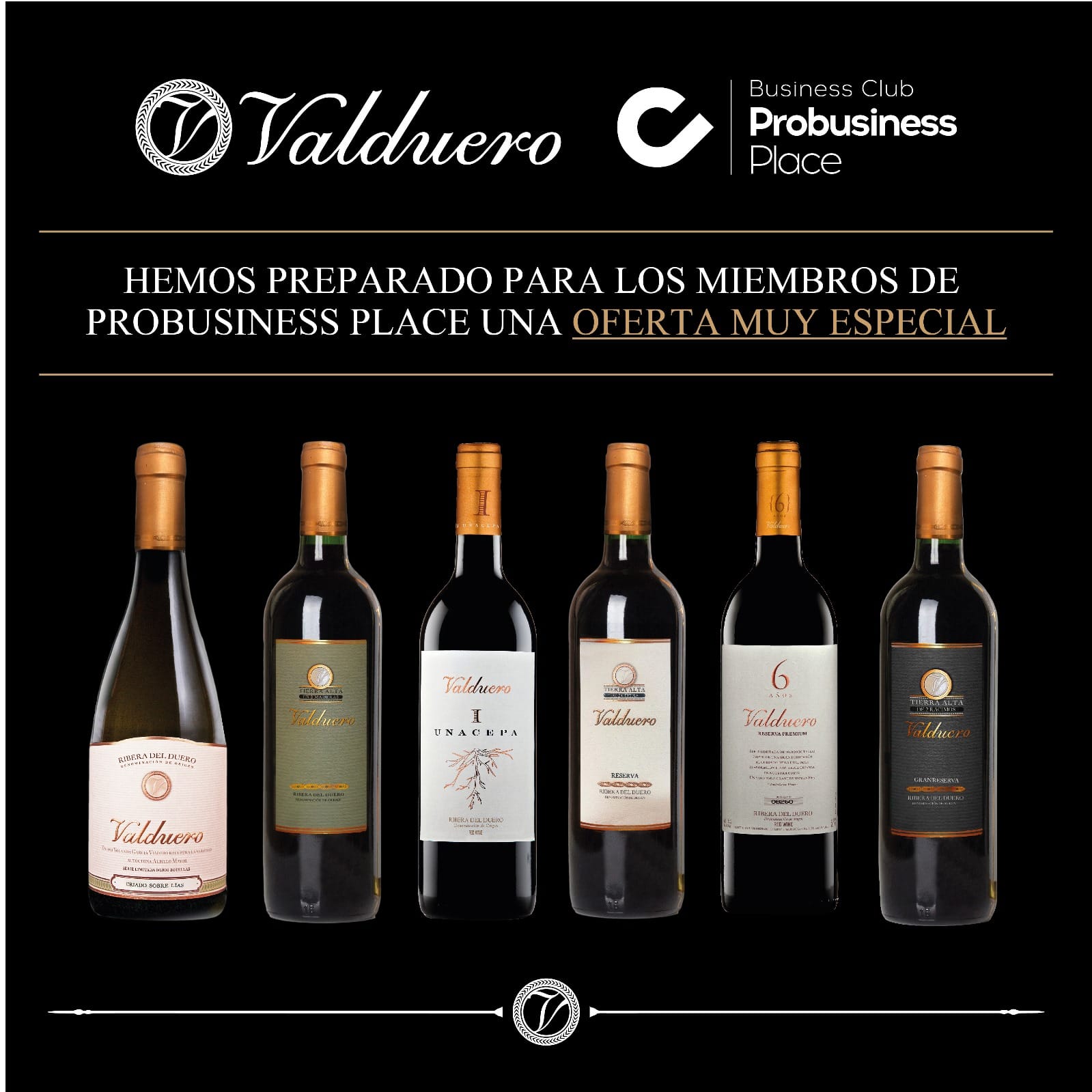 Valduero & ProBusiness Place: Una Exclusiva Para Ti